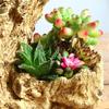Resin Succulent Flowerpot Imitation Tree Root Shape Suitable for Creative Indoor Outdoor Arrangements and Artistic Charm