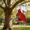 Organic Wood Wild Bird supplier daubed Red Climate Proof Build Suitable For Yard Or deck arrange