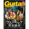 Gitar Aksesuarları – Gitar Parçaları