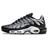 Air Max Plus Preto Prata Metálico DM0032-003