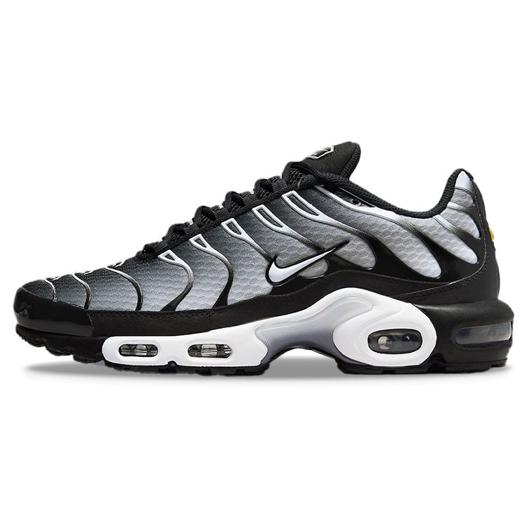 

Nike Air Max Plus Чорний Металік Сріблястий DM0032-003 41