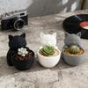 Mini Kitten Flower Pot Succulents Planter Cute Cat Plant Pot Home Desktop Decoration Kitty Planter Gift for Cat Lovers