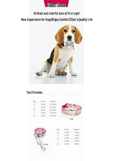 Flower Pattern Dog Collar and Leash Set