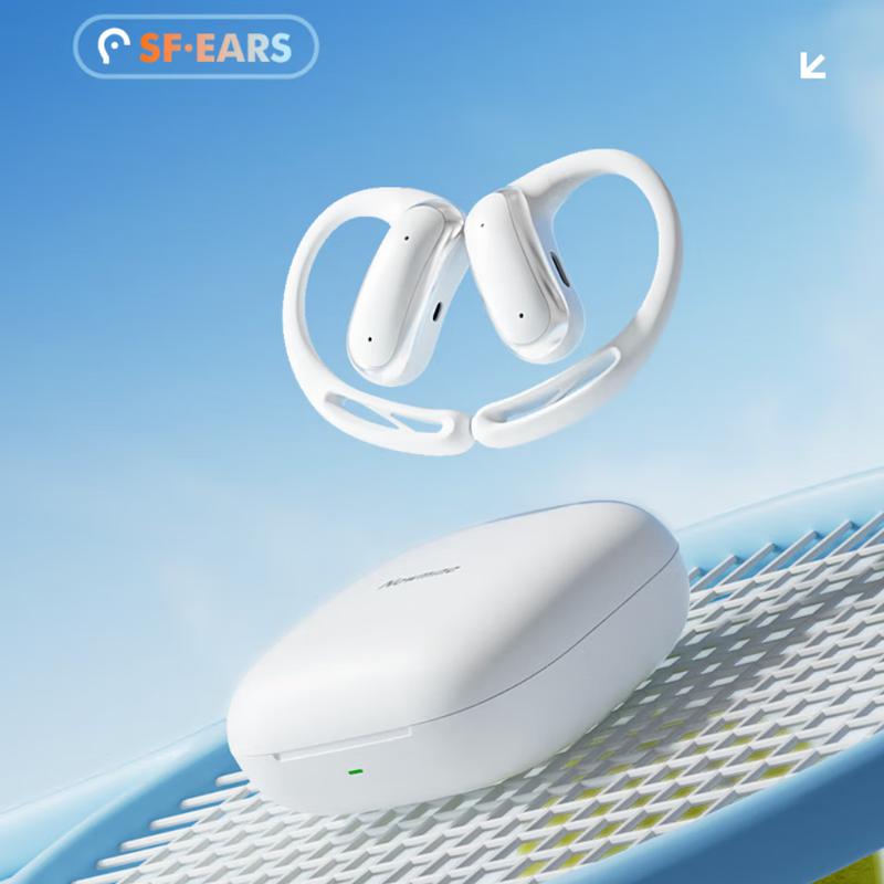 Newman LY55 Wireless Sports Ear-hook Headset