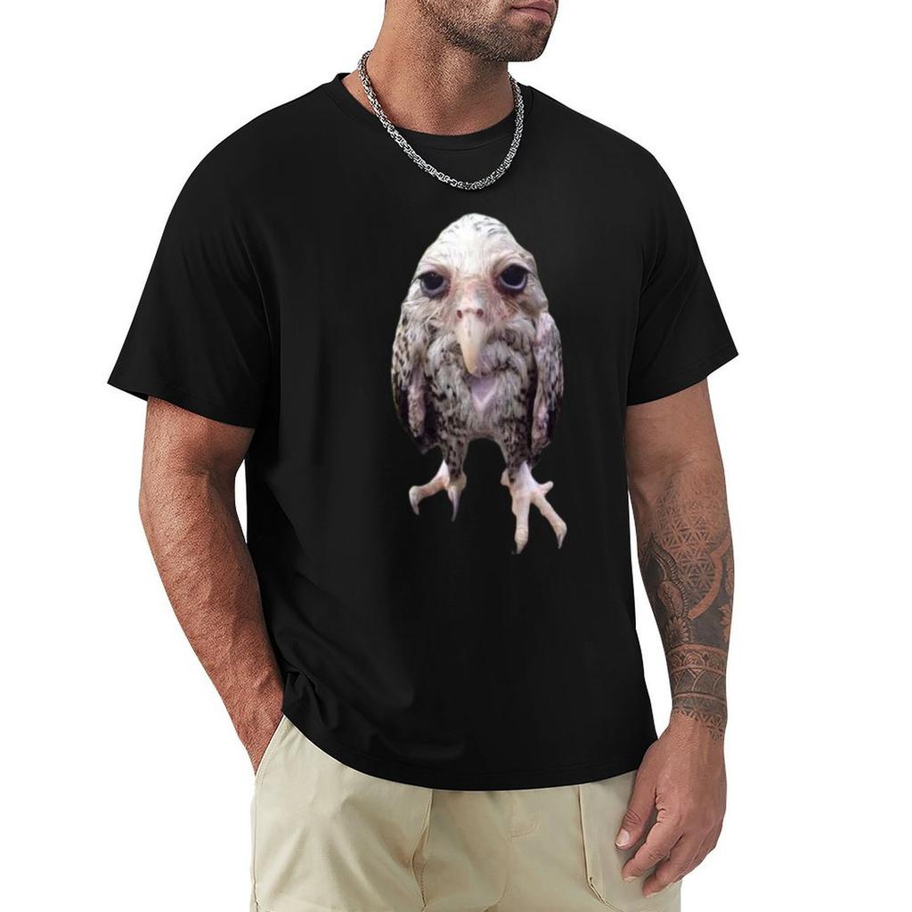Wet Owl Funny Meme Tshirt Casual Graphic Print Tee