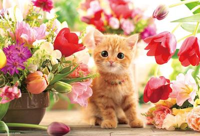 [Tillverkad i Japan] 300-bitars pussel: Tulpaner och Kattungar (26 x 38 cm) P33-190