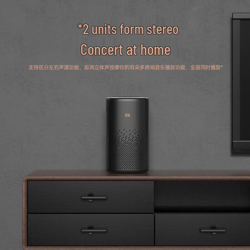 Xiaomi AI Speaker Pro