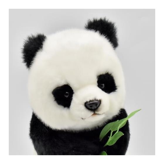 BH7475 HANSA Wielka Panda 26