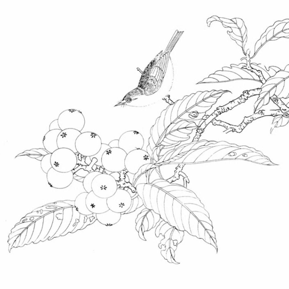 Drawing Copy Hand Painted Tutorial Book Hand Drawn Tracing Sketch Book  Art Supplies