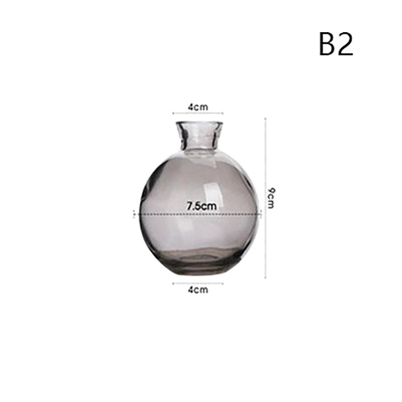 Przezroczysty szklany wazon na nasiona awokado Wazon na nasiona Zestaw do uprawy Wazon na awokado do uprawy Prezent dla miłośników ogrodnictwa Wystrój domu