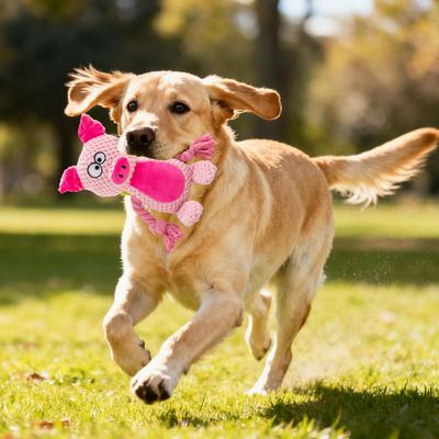 Perros – Juguetes para perros
