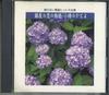 CD VARIOUS - Complete Collection Of Songless Hit VFD1813 TEICHIKU RECORD Japan Japanese Enka/Traditional Used