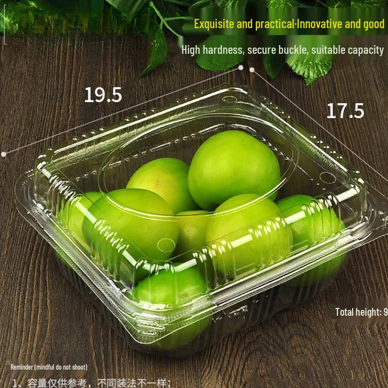 Shixun Disposable Plastic Fruit & Takeout Containers