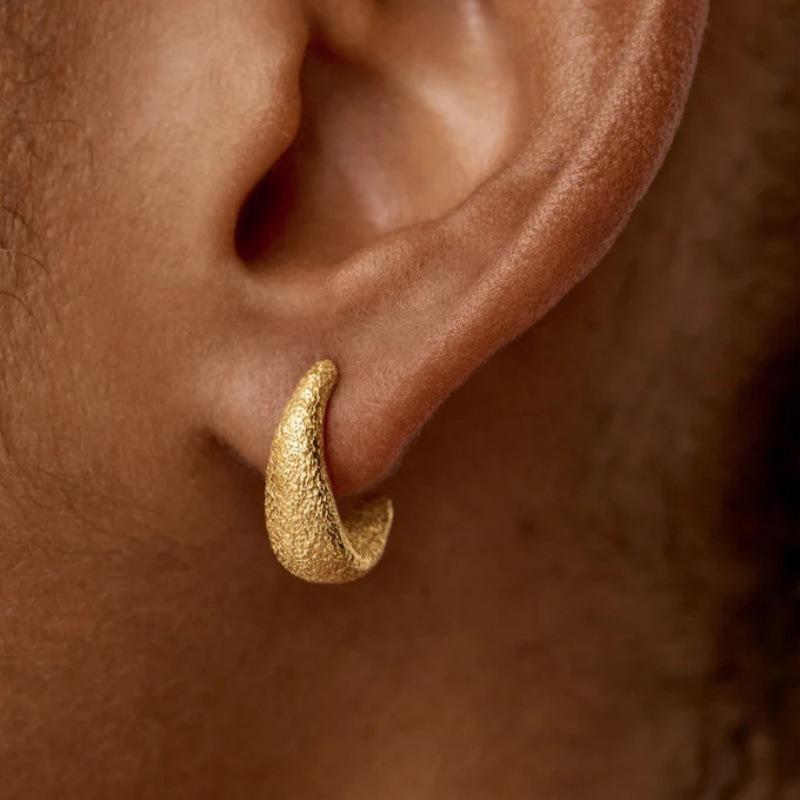 Simple Matte Texture Earrings Light Luxury Niche Design S925 Silver Needle Earrings Exquisite Trendy Temperament Earrings