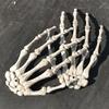 Puntelli spaventosi di Halloween Mani di scheletro in plastica Realistica a grandezza naturale Osso di mano umana finta in plastica per decorazioni di case stregate