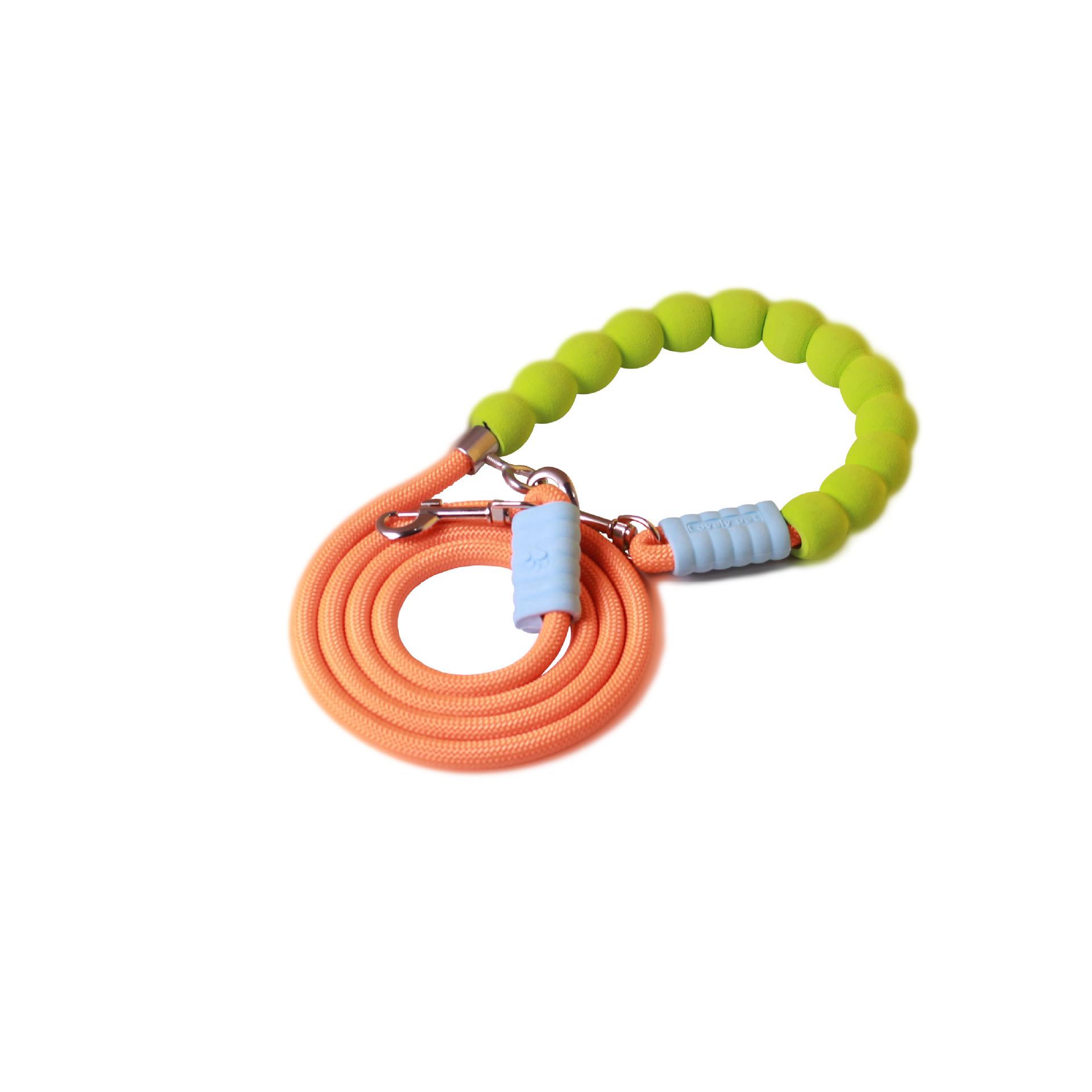 

Colorblock Crossbody Dog Leash with Foam Handle for Running & Walking 1.0*2m