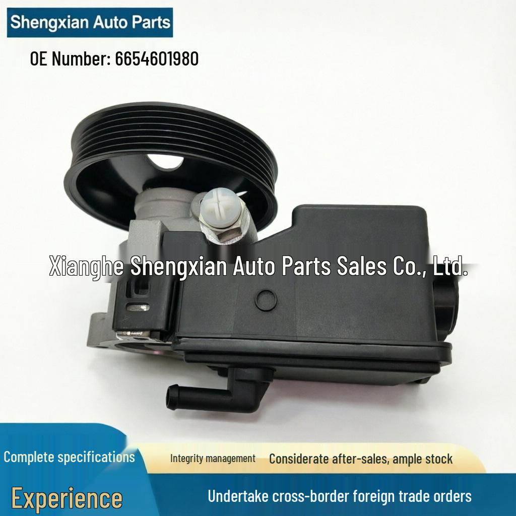 Насос гидроусилителя руля для Ssangyong Actyon, Kyron, Rexton (Часть №. 6654601980) 6654601980