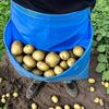 Large Capacity Fruit Picking Bags Wide Opening Egg Collecting Pouch Vegetable Storage Bags  Herbs