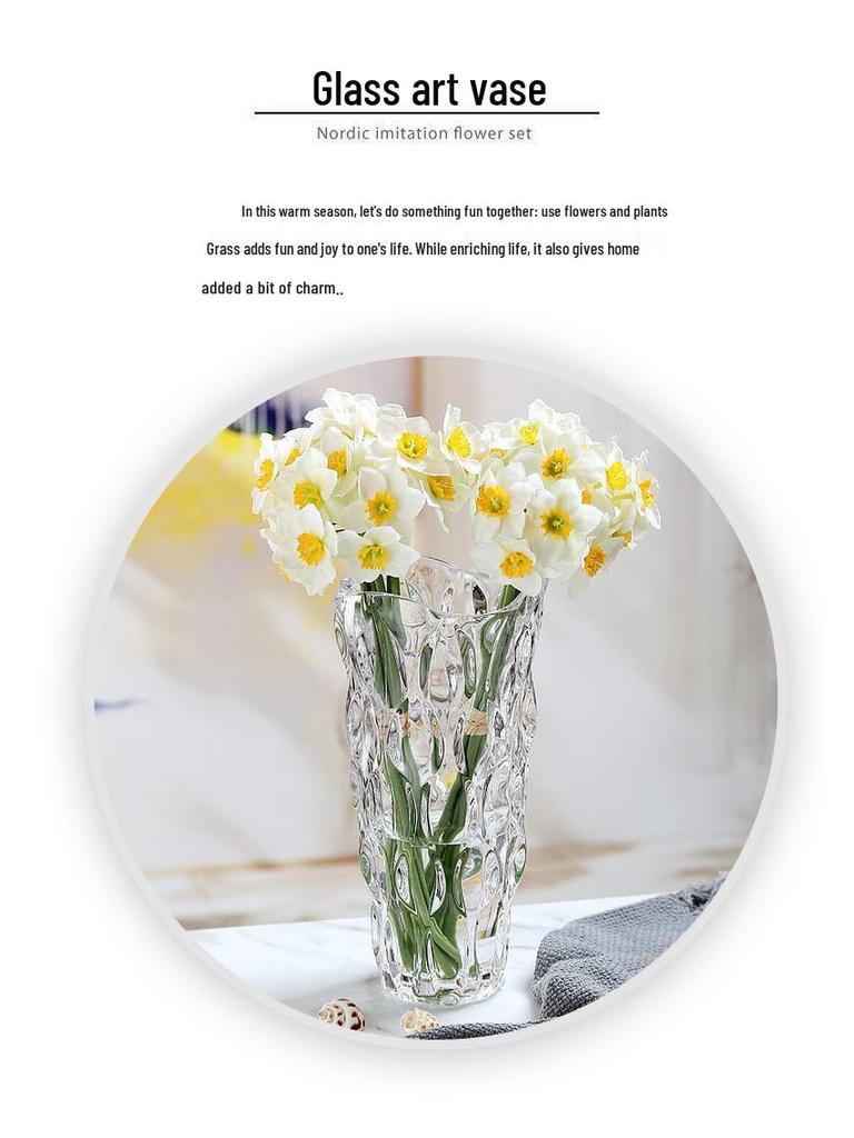 Bohemian Modern Clear Glass Vase for Home Decoration and Hydroponic Flower Arrangements in Living Room