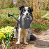 Plastic Garden Watering Can for Watering Plants and Flowers 5L
