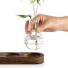 Planten Terrarium voor Hydroponics Planten Kantoor Plant Vermeerderingsstation met Retro Houten Stand Huis Bureau Glazen Planter