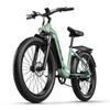JOOBIKE JOO1 Adult Electric Bike 1000W Brushless Motor 48V17.5AH City E Bike 26*3.0 Inch Fat Tire Mountain Ebike