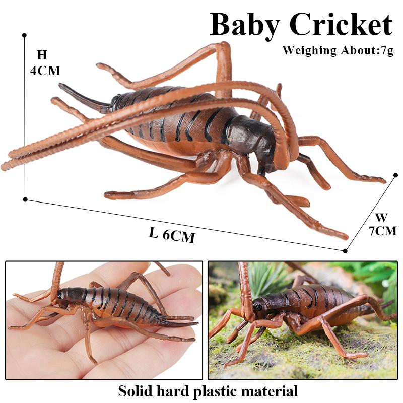 Oenux Wild Insect Animals Model Mantis Grasshopper Butterfly Bee Beetle Action Figures PVC Science Education Collection Kid Toy