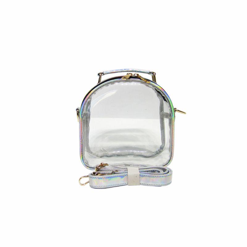 mini clear purse