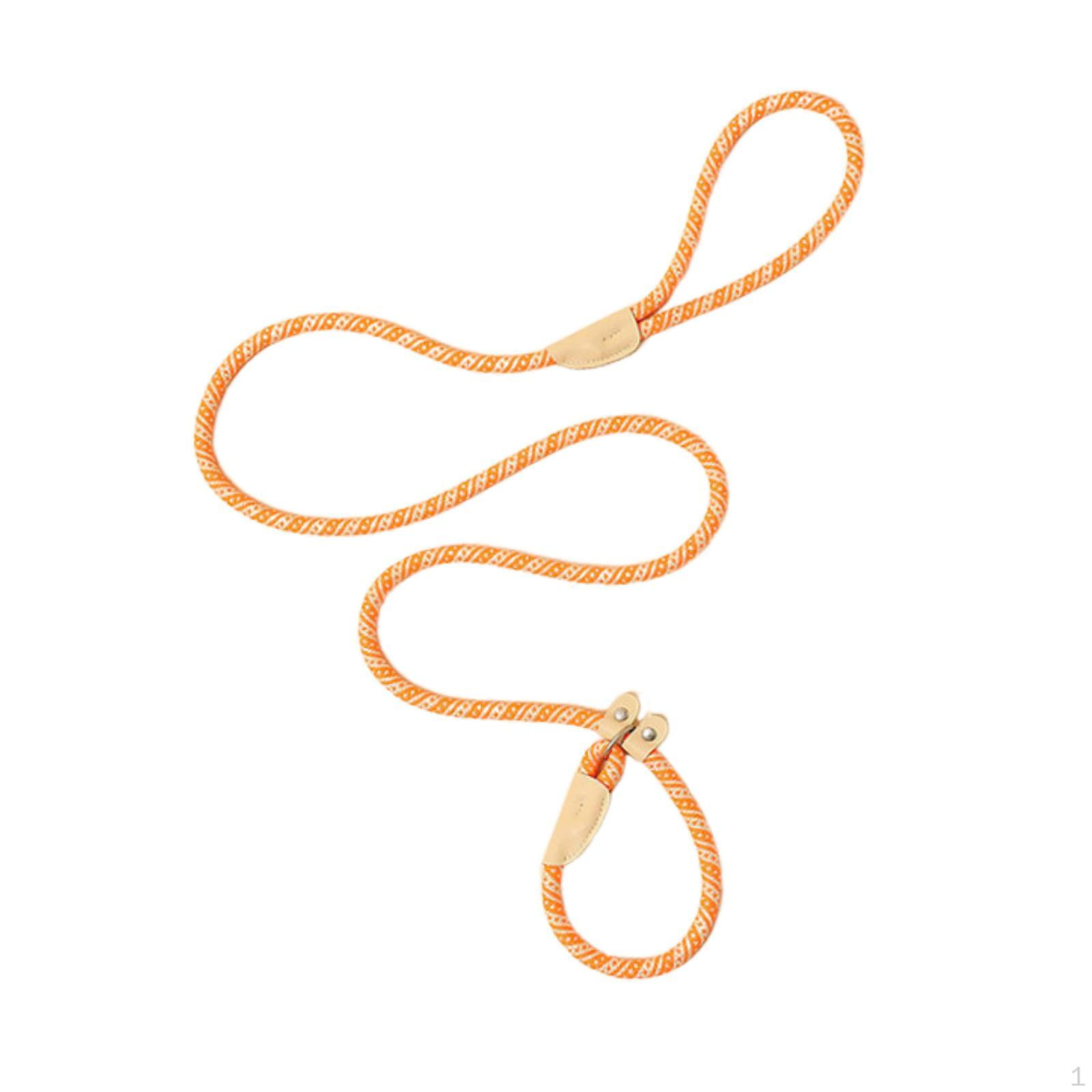 

Dog Leash Training Adjustable Small Medium Large Dogs Portable Slip Leads Rope Running Orange