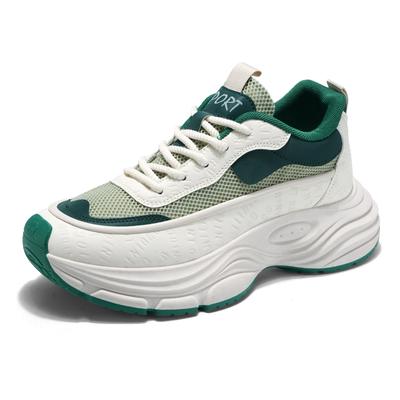 Thick-soled Men's Casual Sports Shoes 2025 New Mesh Lace-up Breathable Loafers Men's Fashionable Walking Shoes