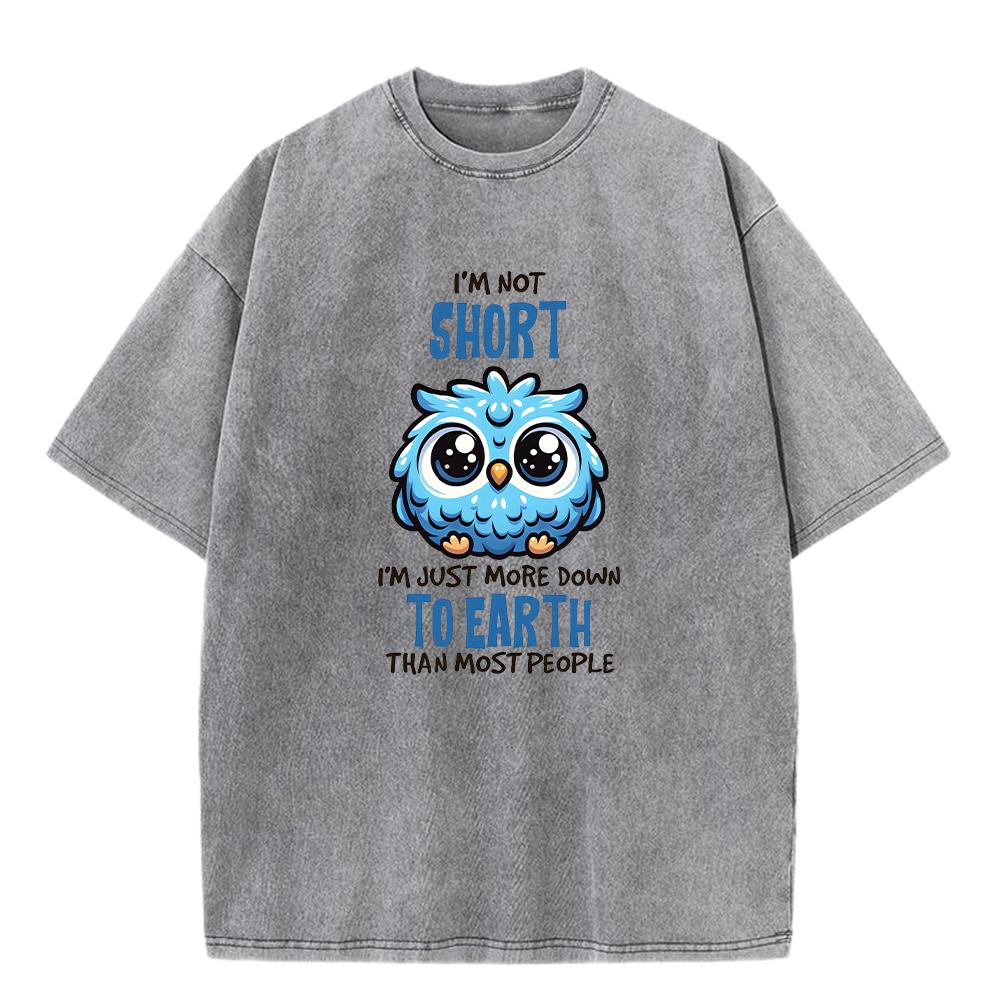 Cute Cartoon Blue Bird Prints Mens Washed T-Shirt Vintage Crewneck T Shirts Hip Hop Oversize Clothes Cotton Soft Streetwear