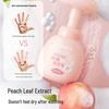 RUNBEN Little Peach Anti-bacterial Foaming Hand Soap