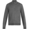 Alpha Damier Jackets & Coats Men's Gray 1A7XDD