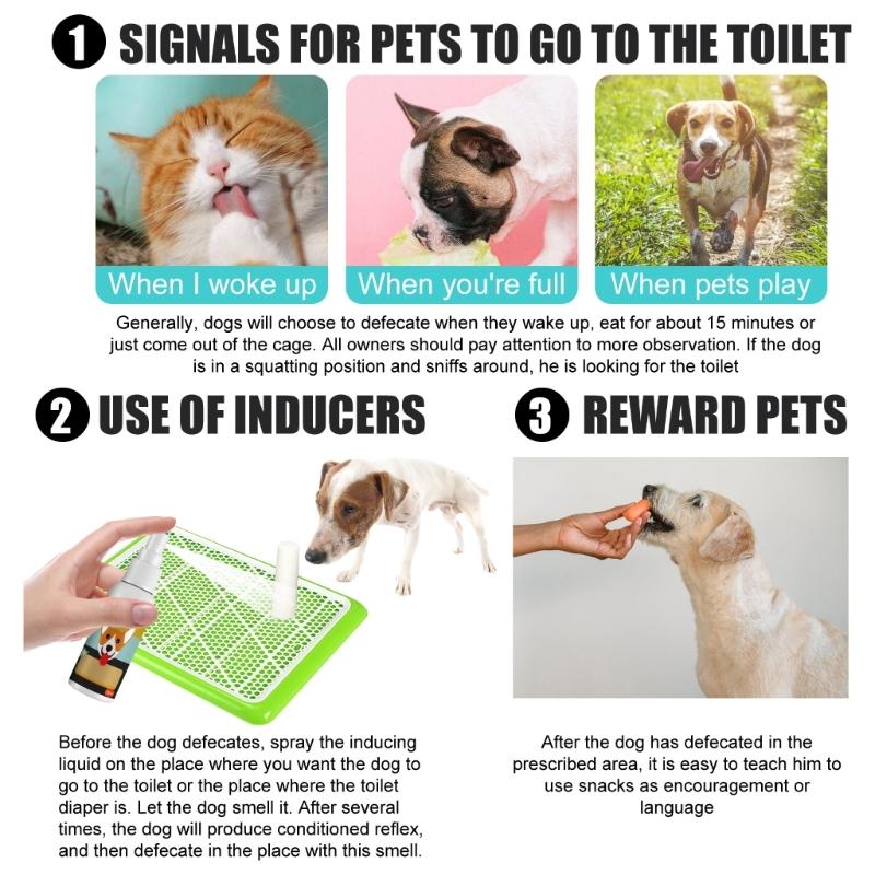 Pet Go Here Potty Training Crap Spot Trainer for Pet Safety Designated Toilet Training Pet Excretion