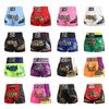 Thai Muay Shorts Men Training Kickboxing Sanda Boxing Shorts Mma Fighting MMA Pants for Kids Adult