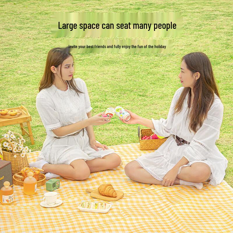 Clear Series Outdoor Picnic Mat