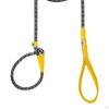 Dog Leash for Active Medium To Large Pets