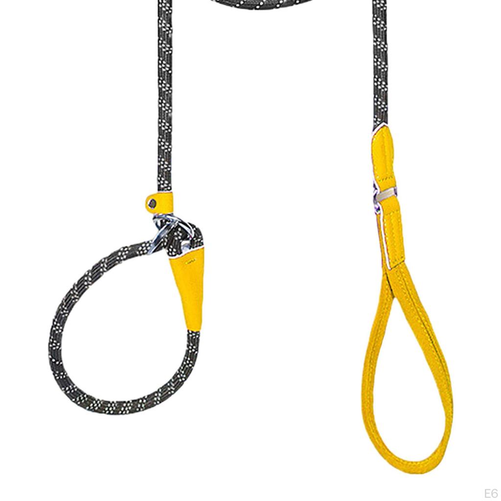 Dog Leash for Active Medium To Large Pets
