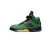 Air 5 Oregon Ducks CK6631-307