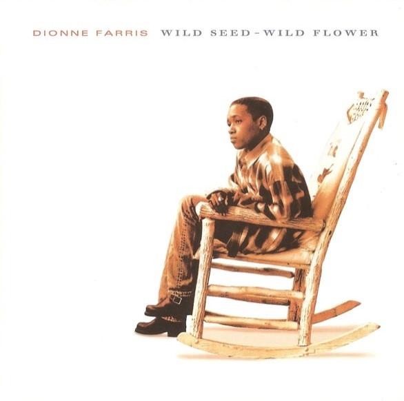 CD DIONNE FARRIS - Wild Seed - Wild Flower CK57259 Columbia 1994 US Pop Used