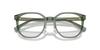 Emporio Armani Sunglasses EA4226D Shiny Transparent Grey 55 Men's