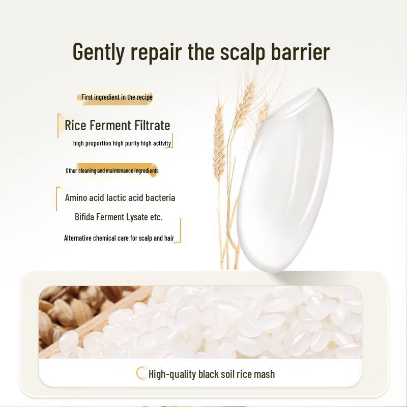 ASAKA Rice Ferment Scalp Care Volumizing Oil Control Shampoo