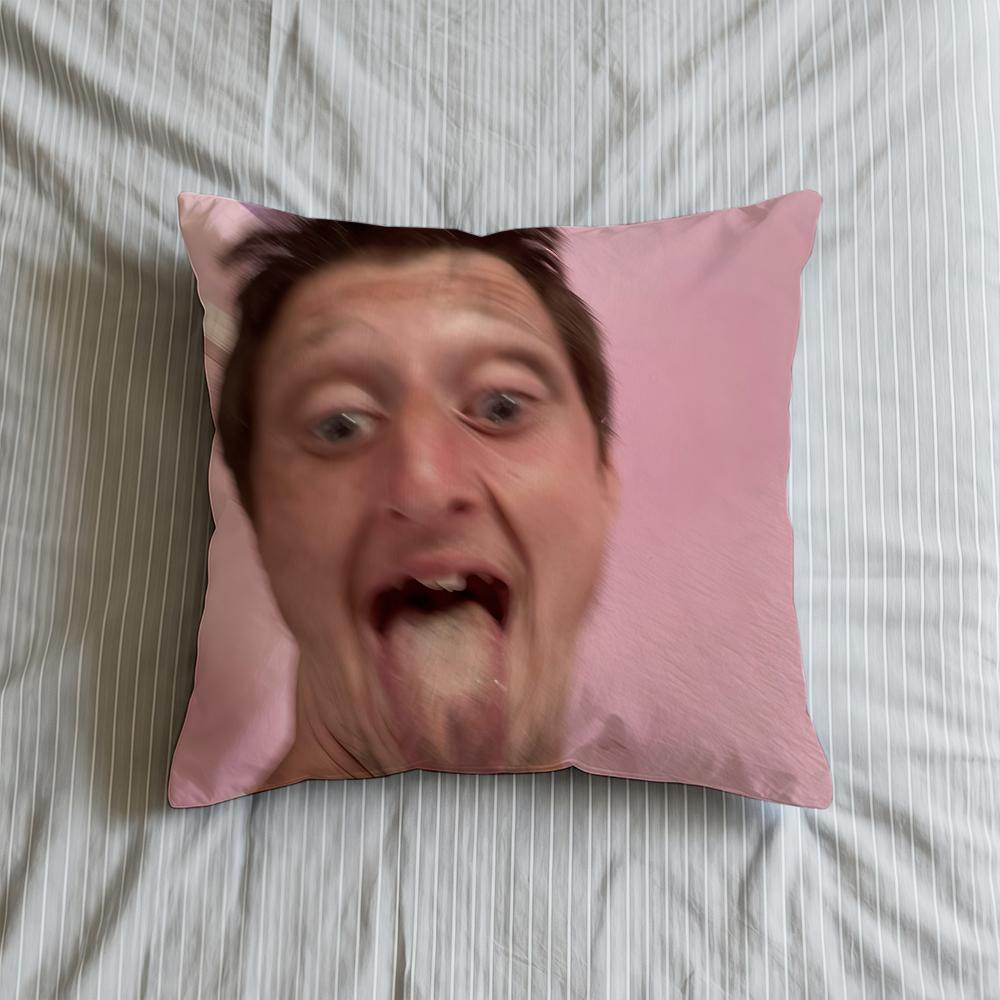 Cushion Cover Soft Case Sofa Living D-Daniel Selfie Room Home Comfortable Office Larson Decor Protective Pillow
