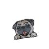 Puppy Cartoon Dog Hair Claw Acrylic Hair Clip Chihuahua Small Shark Clip  Woman
