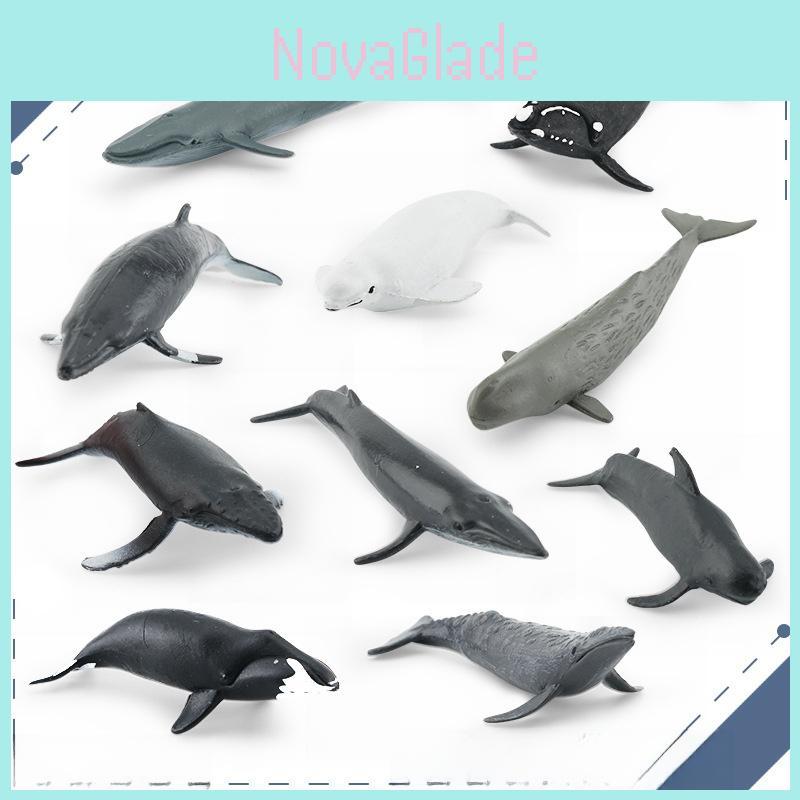 Marine Animal Beluga Whale And Whale Replica Model Set Pvc Toy For Aquarium Decor