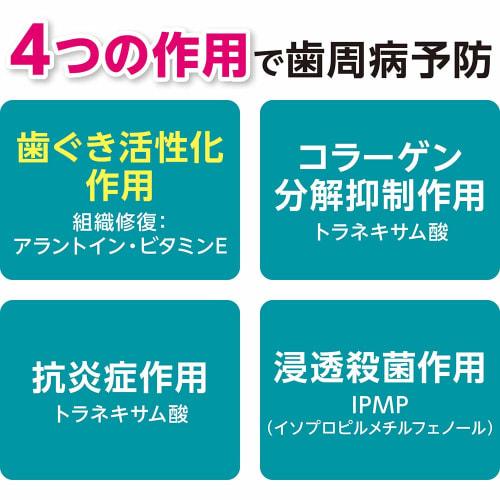 Systema Gum Plus Dental Rinse, Alcohol Type, 450ml