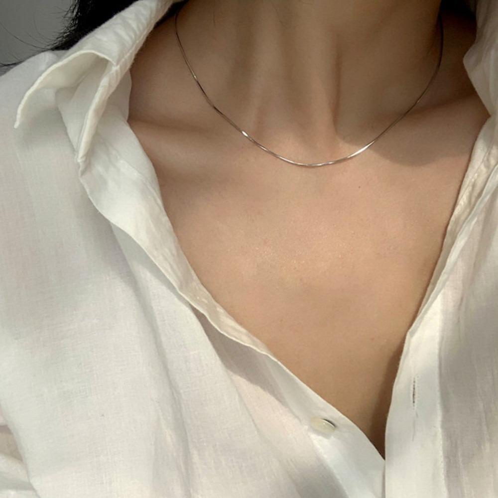 Titanium steel non-fading snake bone chain niche necklace women's light luxury neck chain high-end collarbone chain ins cold wind accessories