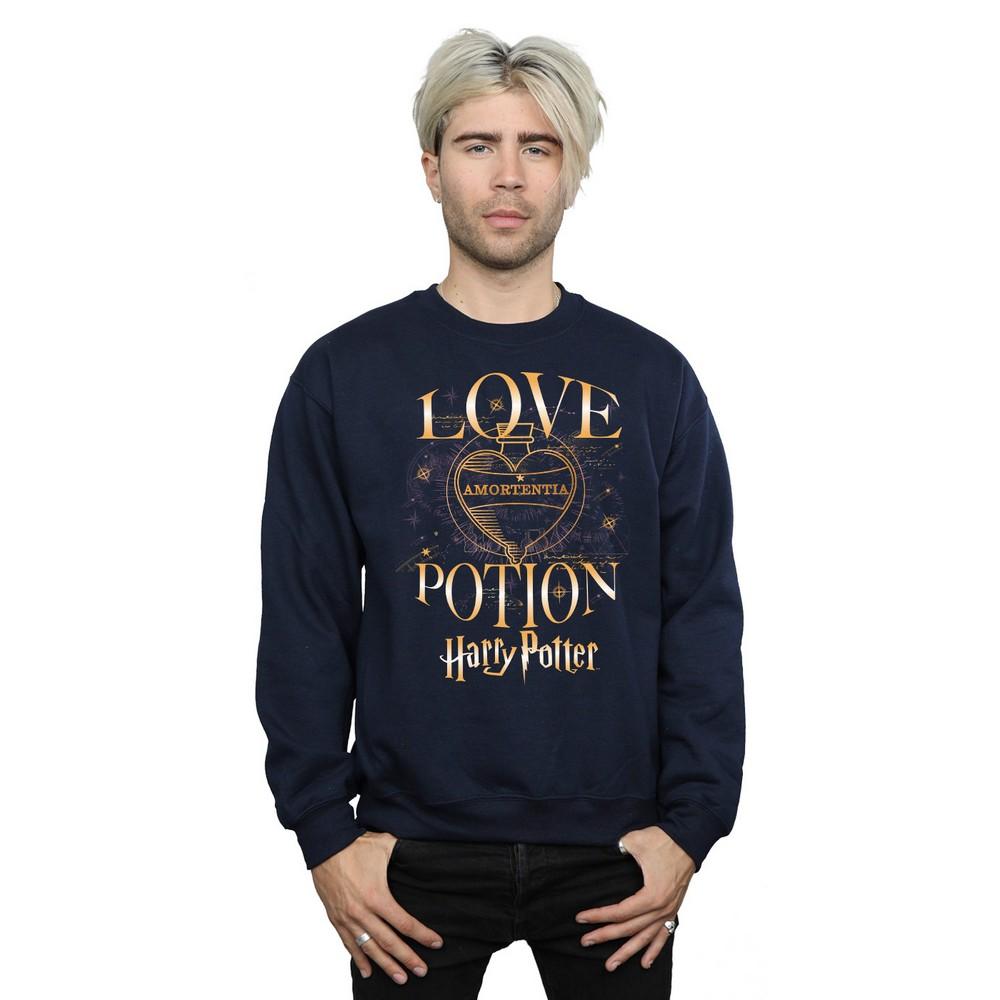 HARRY POTTER Mens Love Potion Sweatshirt