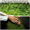 West Lake Longjing Tea Dragon Well Green Tea Leaves Pick Before Qingming 125g