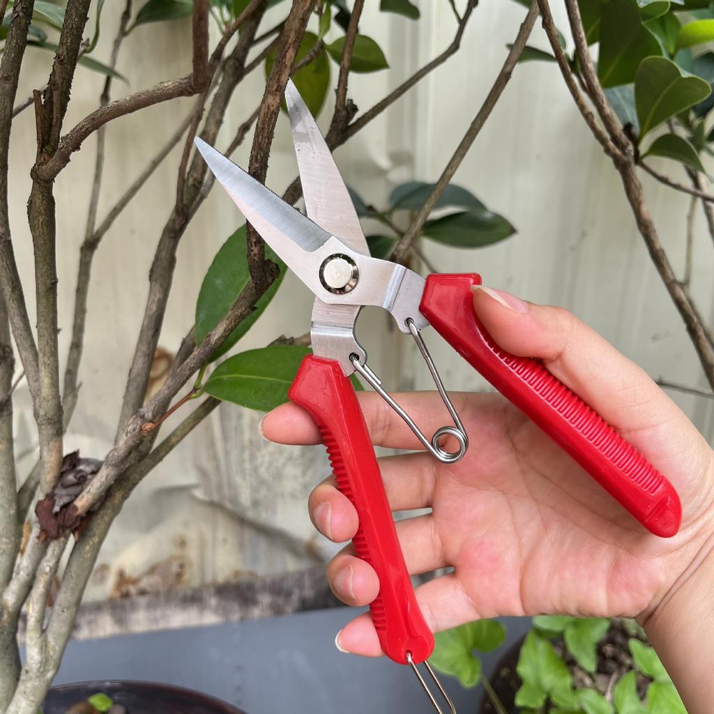 Stainless Steel Heavy-Duty Pruning Shears Fruit Tree Branch Harvest & Floral Trimmers for Garden Gardening Tools